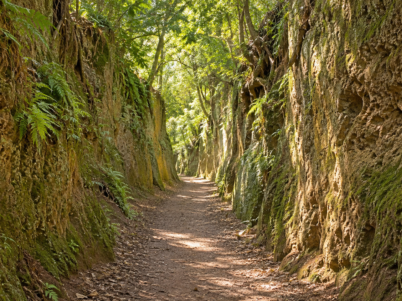 Vie Cave Etrusche Pitigliano