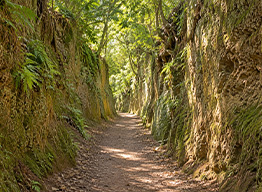 Vie Cave